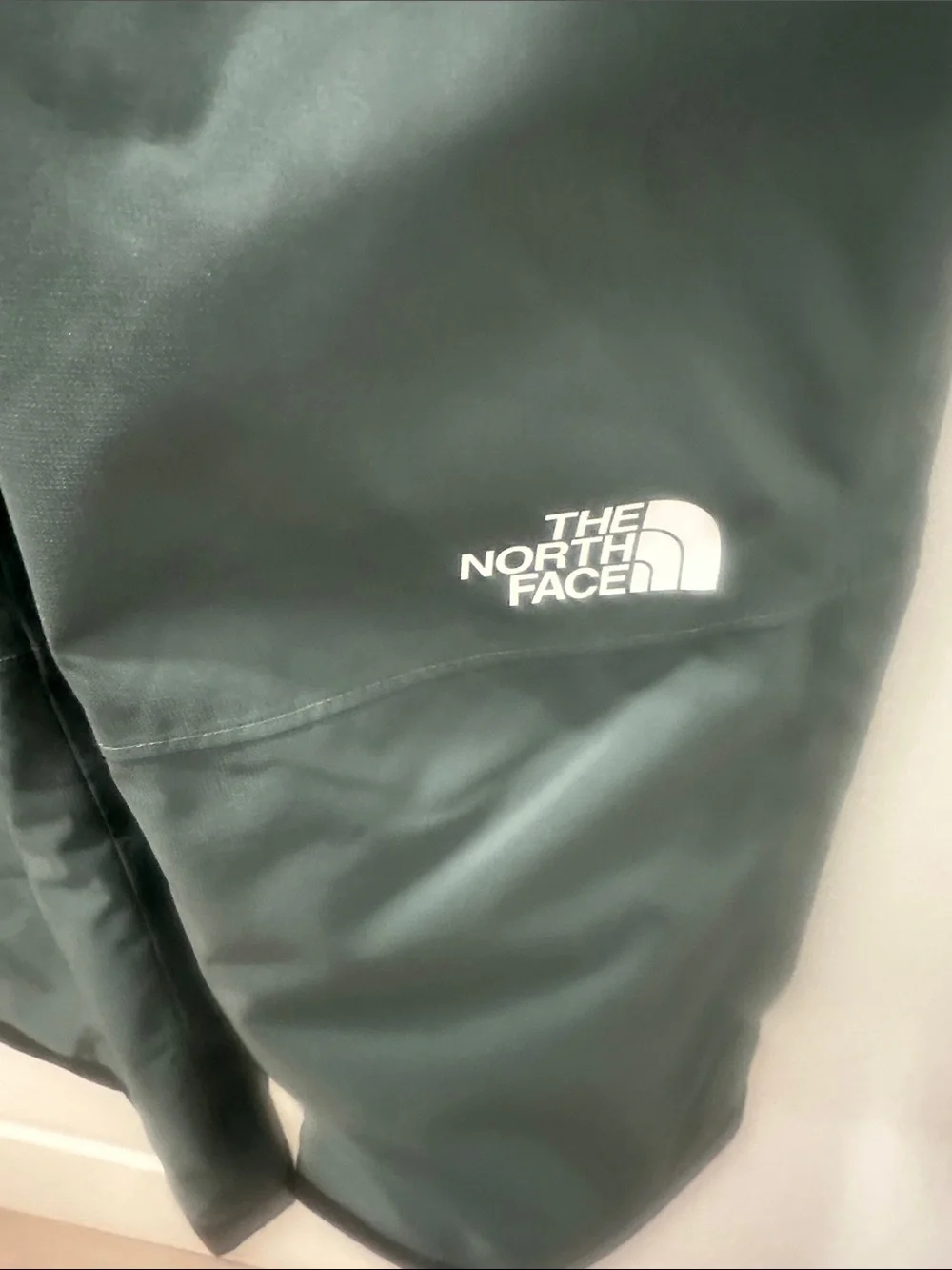 The North Face north face